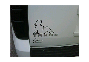 Specialty vehicle decal design  by Custom Graphics and Signs